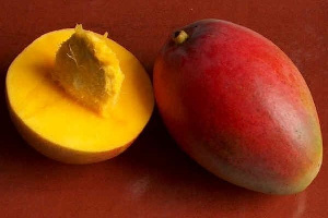 Mango Mangos 9764347 600 415 600x400