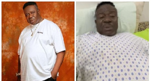 Mr Ibu