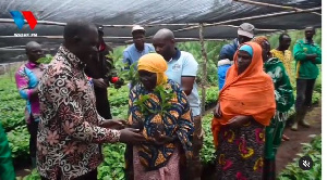 Bodi Ya Kahawa Yajipanga Kuongeza Usalishaji Tanganyika