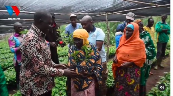 Bodi ya Kahawa yajipanga kuongeza usalishaji Tanganyika