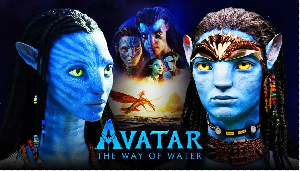 Avatar 2013