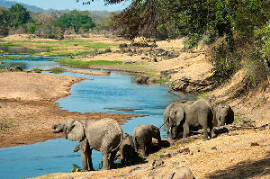 Tanzania Ruaha National Park