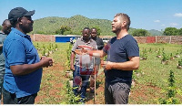 Tajiri Moshi aunganishwa sakata la shamba la bangi lililokamatwa