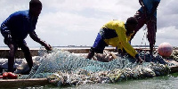 Tatizo la mikopo kwa wafugaji wa samaki latafutiwa dawa