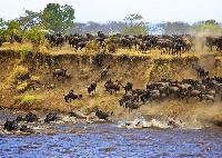 Serengeti yashinda tuzo ya Hifadhi Bora Afrika