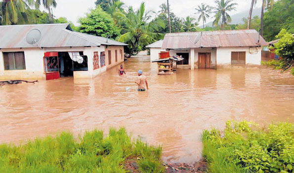 Mvua zawavuruga wananchi, wengine wajihifadhi juu ya miti