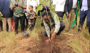 Wakenya Wapanda Miti Kuwakumbuka Waliofariki Katika Wa Mafuriko