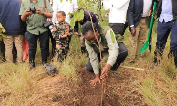 Wakenya wapanda miti kuwakumbuka waliofariki katika wa mafuriko