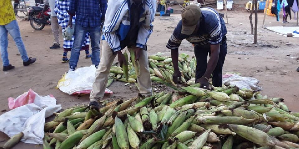 Wafanyabiashara Kiteto wabadili changamoto kunyauka mazao kuwa fursa