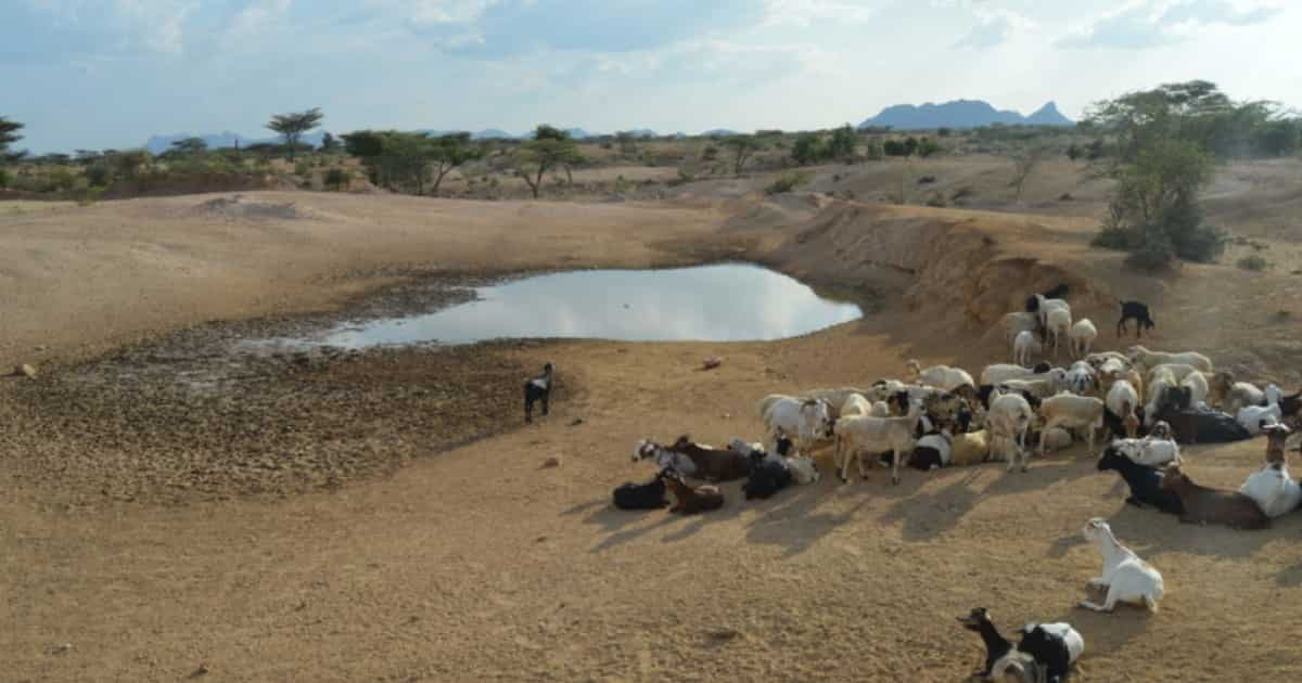 Watoto 3 wazama kwenye machimbo ya mawe wakiogelea huko Turkana