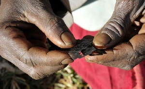 Mbunge Wa Gambia Awasilisha Mswada Wa Kufuta Marufuku Ya Ukeketaji