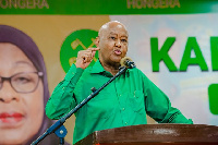 Makamu Mwenyekiti wa CCM, Abdulrahman Kinana