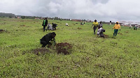 Baadhi ya makada wa CCM Njombe wakipanda miche ya Parachichi