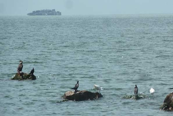 Maeneo ya Ziwa Victoria kinara wa bandari bubu Tanzania