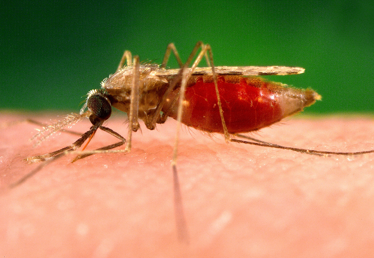 Mfuko wa Dunia watoa dola milioni 53 kukabili malaria