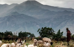 Wakenya Wafungwa Miaka 20 Uganda