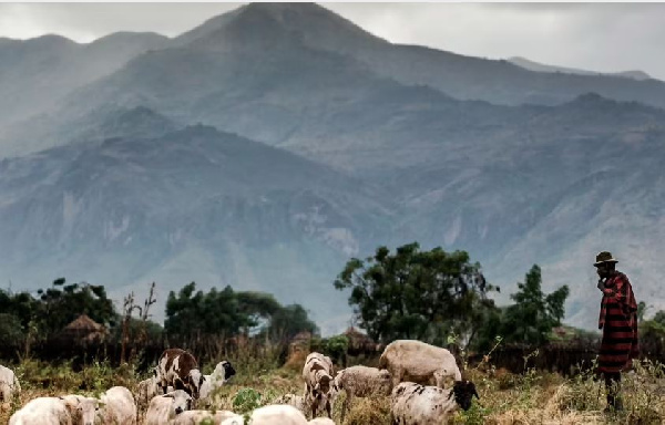 Wakenya wafungwa miaka 20 Uganda