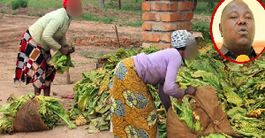 Bodi Za Tumbaku Kuzifikisha Kampuni Za Ununuzi Mahakamani