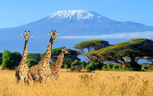 Mt Kilimanjaro 1110x700