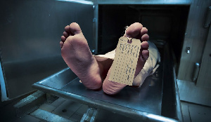 Morgue1 1024x597 1