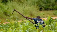 Waliolima shamba la Serikali wapewa siku saba kujisalimisha