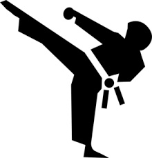 Waalimu 30 Taekwondo wanolewa  Arusha 