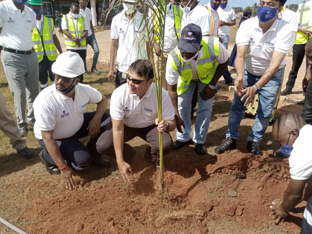 Dangote wapanda miti 1000,kuunga mkono ahadi ya Rais Samia UN