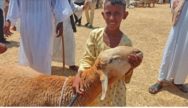 Wasudan wapoteza Shauku ya EID