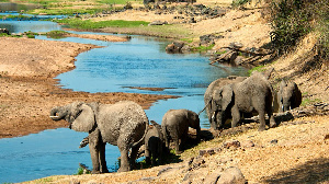 Ruaha Attractions 1140x640