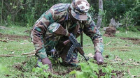 Wakenya wapata likizo ya kupanda miti ili kupanda miche milioni 100