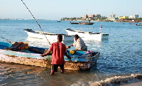 Gumzo!!Samaki wa ajabu anaepaa aonekana Dar es Salaam