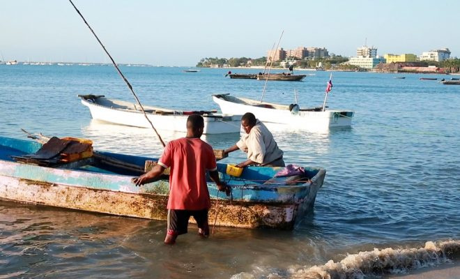 Gumzo!!Samaki wa ajabu anaepaa aonekana Dar es Salaam