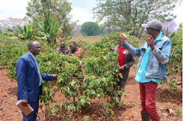 Wakulima wa kahawa waishukuru Serikali kuweka mfumo mzuri wa ununuzi