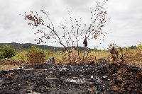 64 wauawa mapigano ya kikabila Papua New Guinea