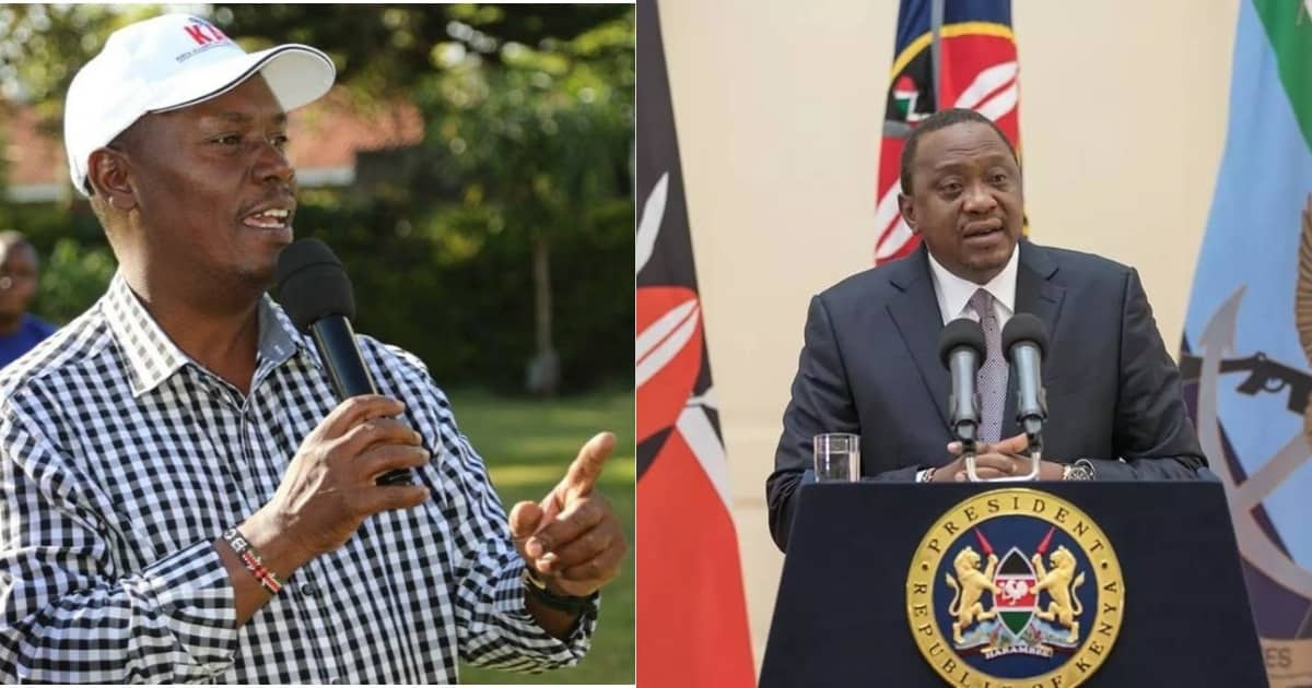 Endeleza handisheki kwa DP Ruto, Kabogo amwambia Rais Uhuru