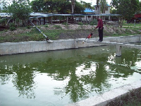 11,280 wafundishwa ufugaji wa samaki