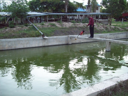 11,280 wafundishwa ufugaji wa samaki