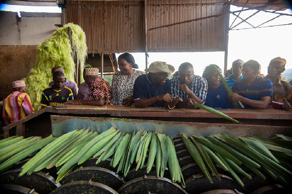 wasindikaji lazima waboreshe mitambo yao ili mkonge mwingi wa wakulima usipotee