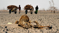 Ukame waitikisa Kenya, waibua magonjwa ya mlipuko