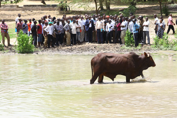 Wafanyabiashara wambana naibu waziri, yeye atumia simu kujiokoa