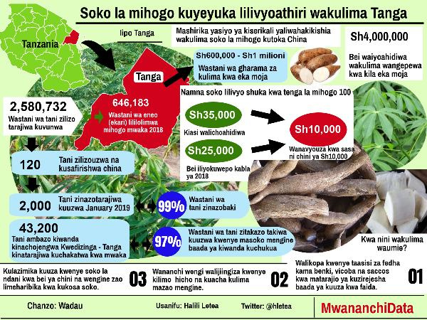 RIPOTI MAALUMU: Ahadi ya soko la nje ilivyogeuka kilio kwa wakulima wa muhogo wa mkoani Tanga