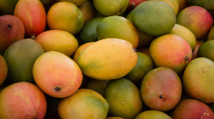 Maembe Mango