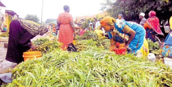 Wauza mboga, matunda sasa wapata eneo rasmi