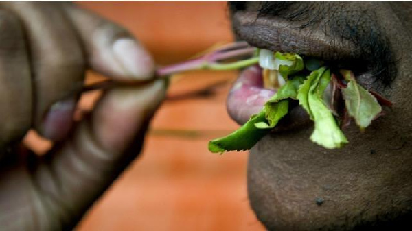 Serikali yasema marufuku ya miraa na serikali za kaunti sio halali