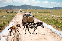 Serikali kuweka mipaka maeneo jirani na hifadhi ya Serengeti