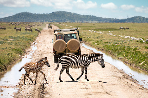 Serengeti Serengeti