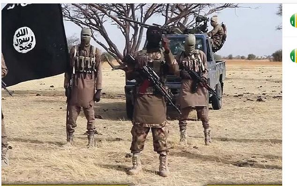 Wapiganaji 50 wa Boko Haram wauawa na Jeshi la Niger