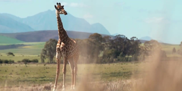 Tanzania kunadi vituo vya utalii ITB