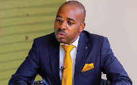 Nelson Chamisa: Mhubiri aliyerejea anayetaka kuwa rais wa Zimbabwe