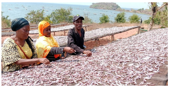 Hali ya uvuvi, biashara baada ya ziwa Tanganyika kufunguliwa